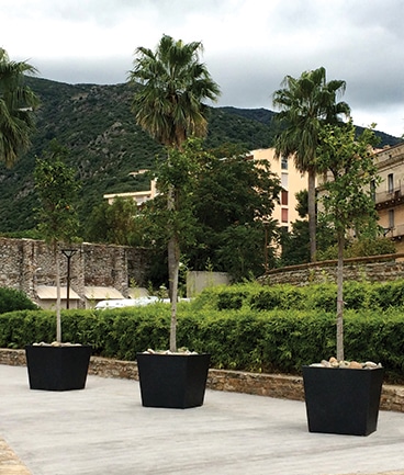 Fioriera per palme IKHEOPS