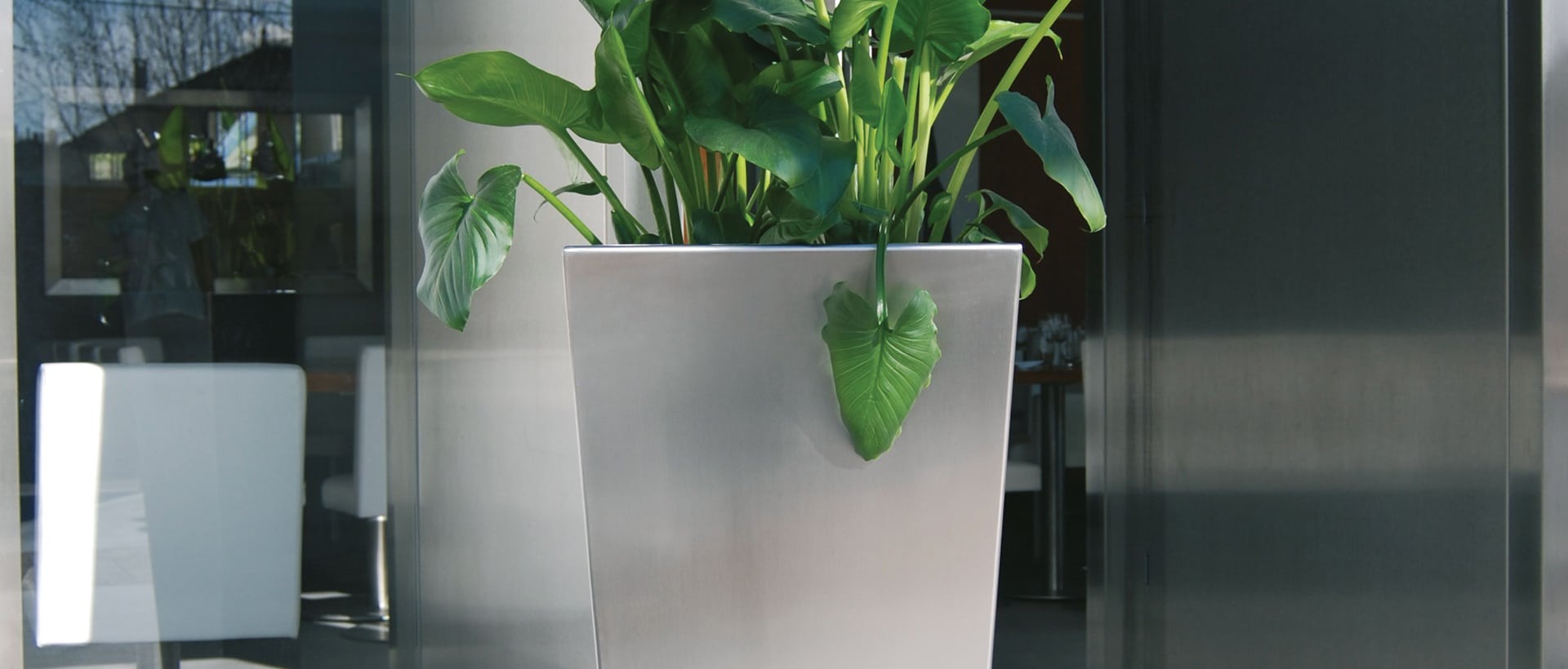 jardinière acier inoxydable fleurissement restaurant hôtel